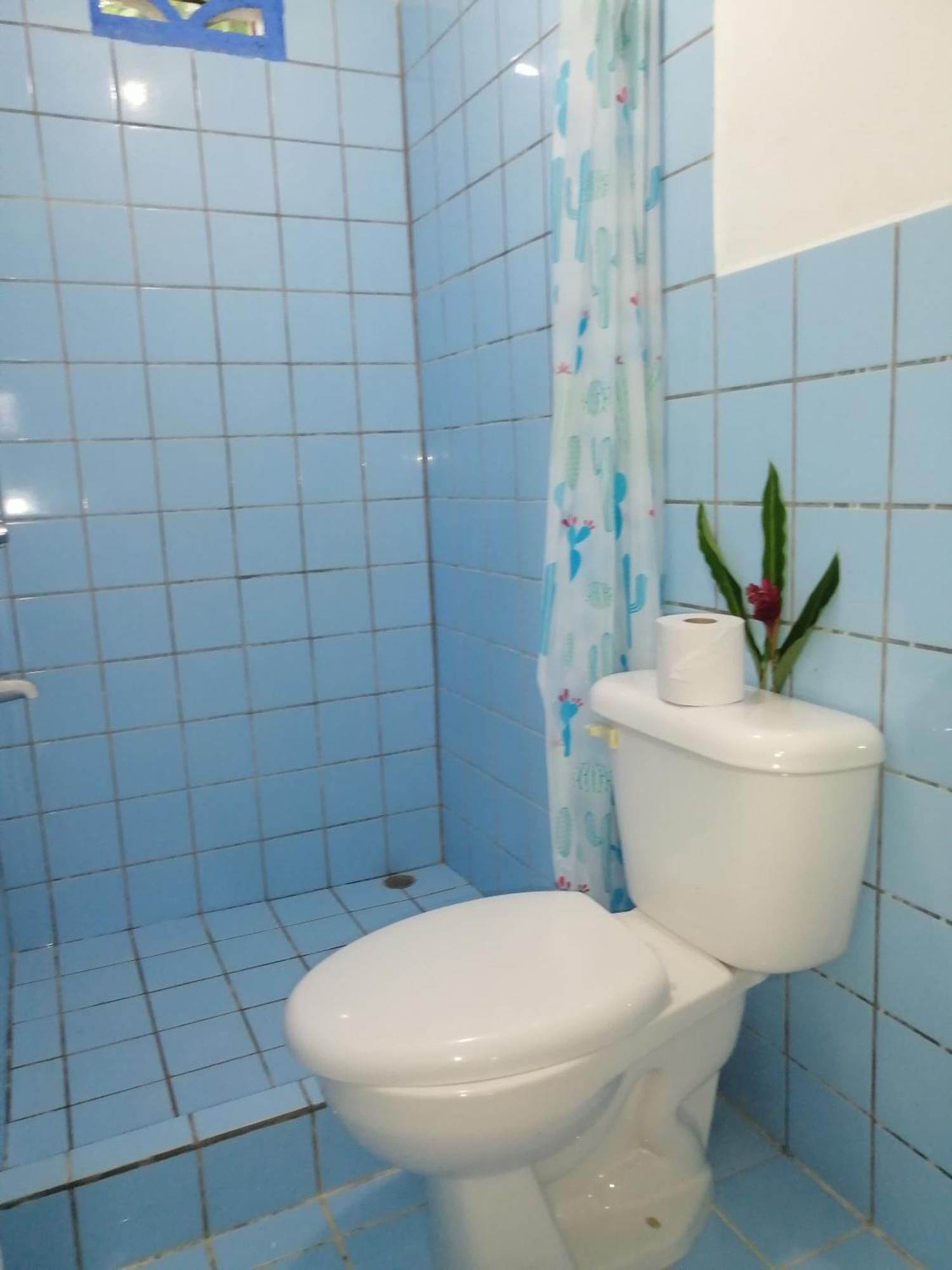 Rooms Palmeras กาอุยตา ภายนอก รูปภาพ